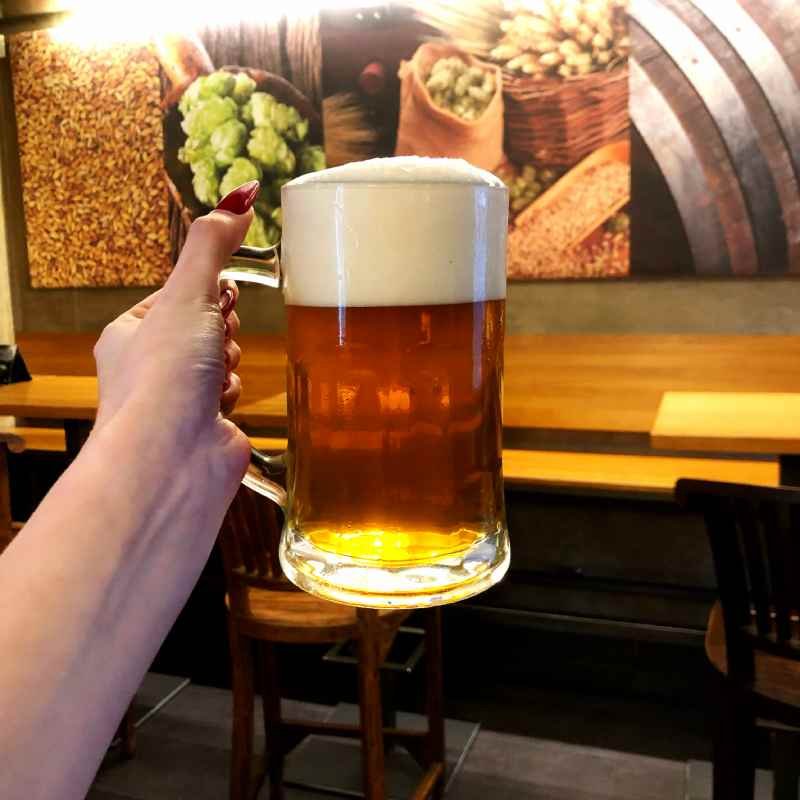 1,5l Chmelnice 12° PETka – pivovar Dalešice